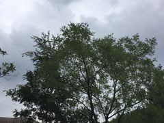 -南京维景国际大酒店(南京博物院店)