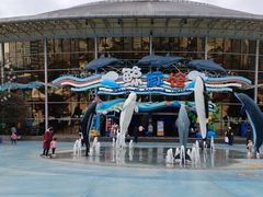 -海合安成都极地海洋公园