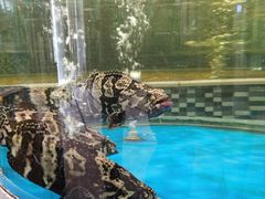 -蓬川食府(金海道店)