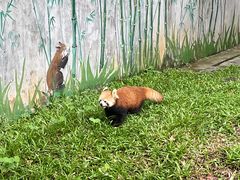 -广州动物园