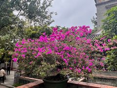 -东莞市可园博物馆