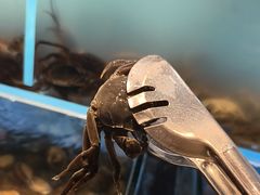 -尚宴牛特鲜自助(太原街万达店)