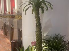 -甘思咪哚·云南艺术餐厅(天河广百店)