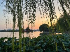 -济南大明湖景区