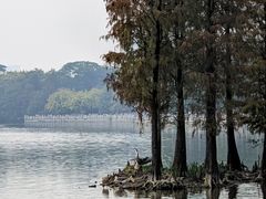 -海珠湖公园