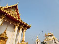 -洛阳白马寺