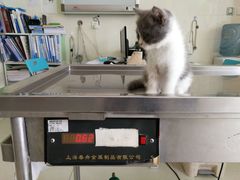 -瑞鹏宠物医院·微创内窥镜·骨外科·牙科(翠竹分院)