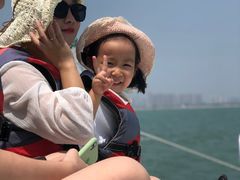 -海豚湾扬帆出海帆船游艇