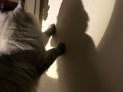 -南方医科大学第三附属医院