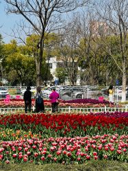 -玄武湖景区-情侣园游乐场