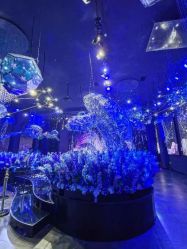 -格乐利雅婚礼艺术中心(浦东花木店)