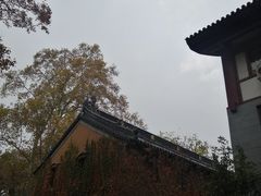 -灵谷景区