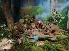 -湖南省地质博物馆