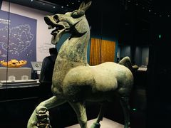 -广西壮族自治区博物馆