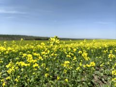 -扁都口生态休闲旅游区