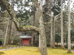 -三千院