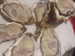 -千岛蚝高压锅生蚝·人参火锅(白云万达店)