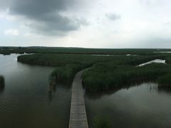 -盐城丹顶鹤湿地生态旅游区