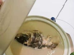 -同庆楼(花园店)