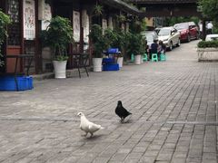 -夜宴江景餐厅