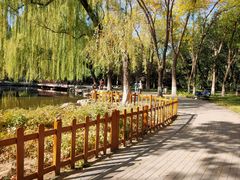 -玲珑塔公园