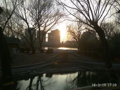 -紫竹院公园冰场