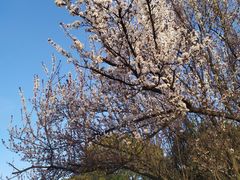 -东南大学(九龙湖校区)
