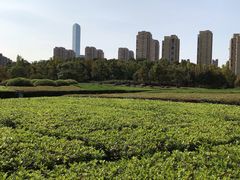 -白塘生态植物园