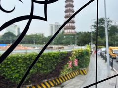 -广州都市观光巴士(粤陶巴)