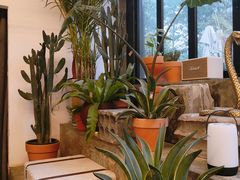 -PlantsEatery·植物食堂(REX春熙店)