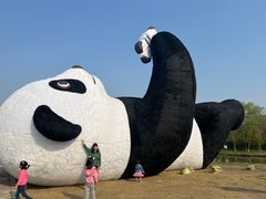 -苏州太湖国家湿地公园