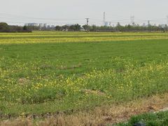 -嘉北郊野公园
