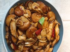 红烧日本豆腐-鑫巴蜀(和平里店)