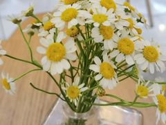 -Blueglass酸奶(财富购物中心店)