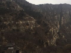 -狼诱惑酱骨头(金州店)