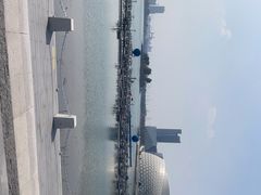 -金沙湖公园
