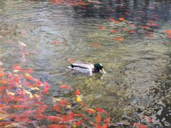 -水磨沟公园