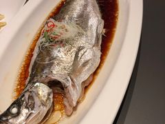 -上和臻品中国菜(花园街店)