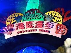 -南京海底世界