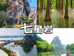 -鼎香皇高佬苏裹蒸粽