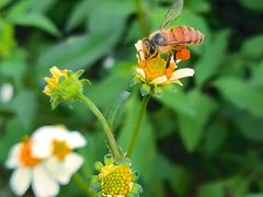 -光明小镇欢乐田园