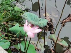 -五合院·整点烤肉