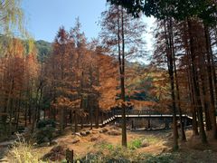 -宝界山林公园