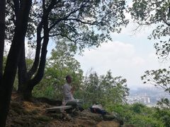-火炉山森林公园
