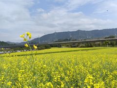 -光明小镇欢乐田园