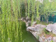 -济南大明湖景区