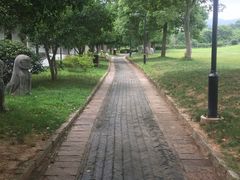 -雨花胜境