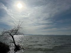 -捞渔河湿地公园