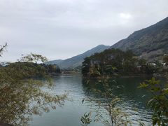 景点-广州市流溪河国家森林公园