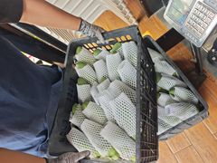 -帅小六刨冰·不一样的奶冰(总店)